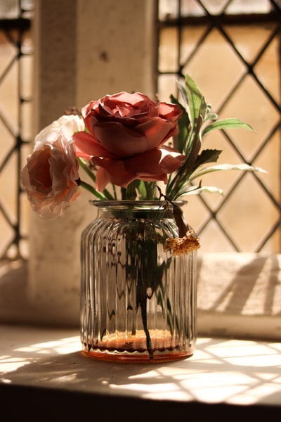 透明玻璃花瓶中的红玫瑰